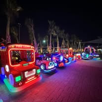 Mini electric vehicle