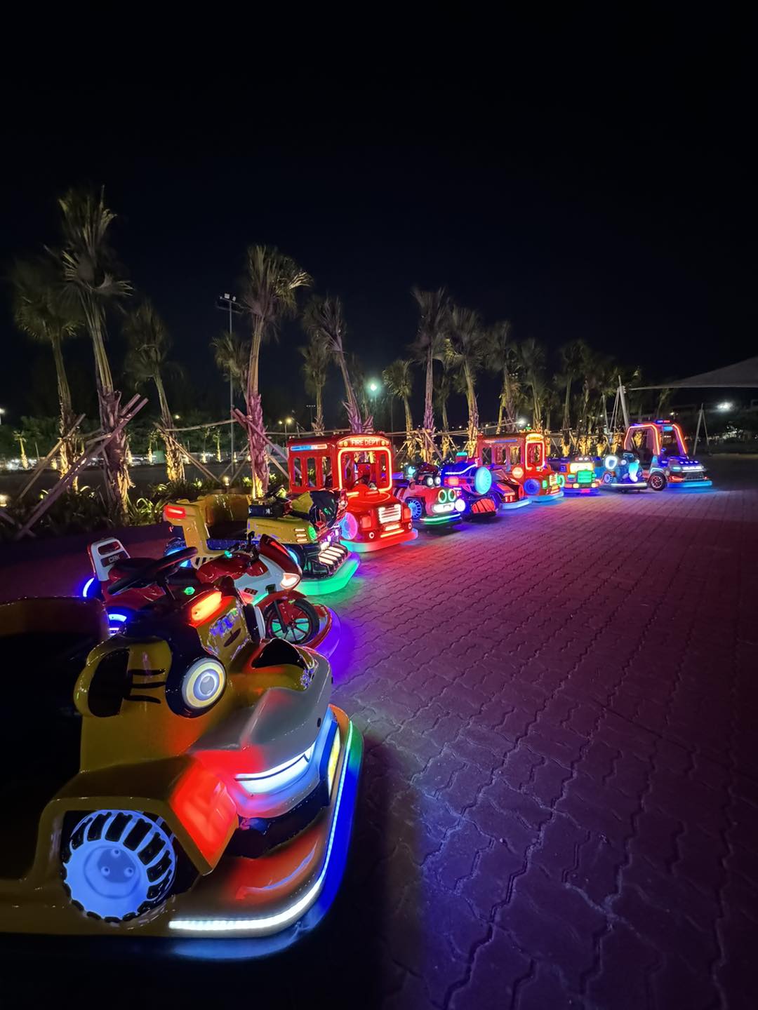 Kids driving electric cars